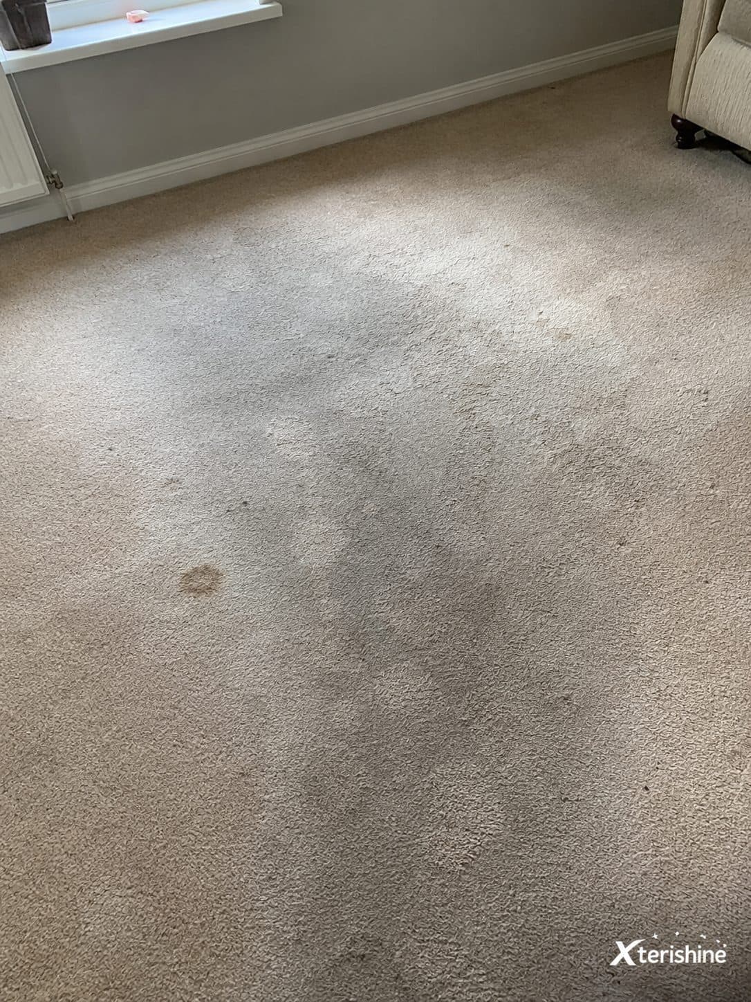 Before — Living-room carpet deep clean